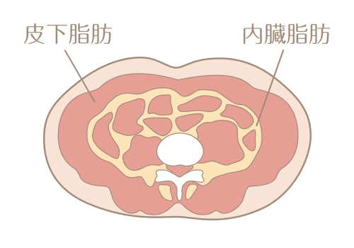 体脂肪とは？