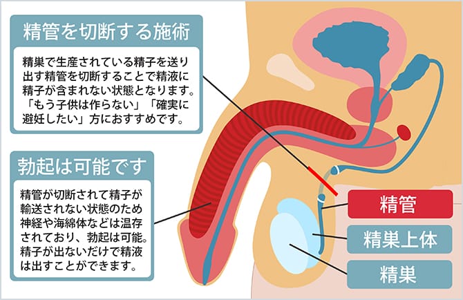 男性専用裏メニュー | 美容整形外科のジョウクリニック