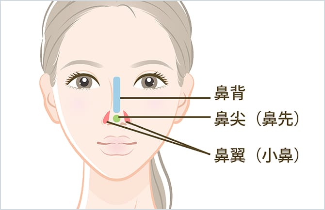 小鼻挙上術 | 鼻の整形ならジョウクリニック